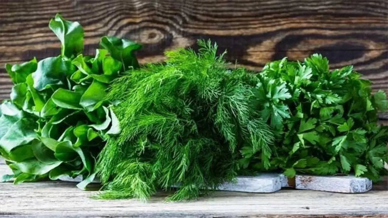کدام سبزی غذا را واقعا خوش عطر می کند؟ ؛ ترکیب سبزی ها در 5 غذای اصیل ایرانی
