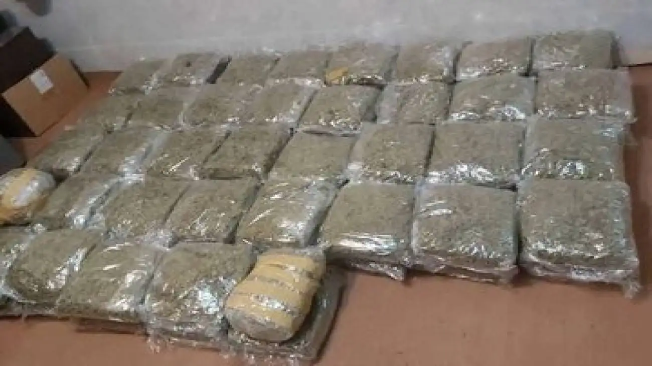 کشف 74 کیلو گل در آستارا