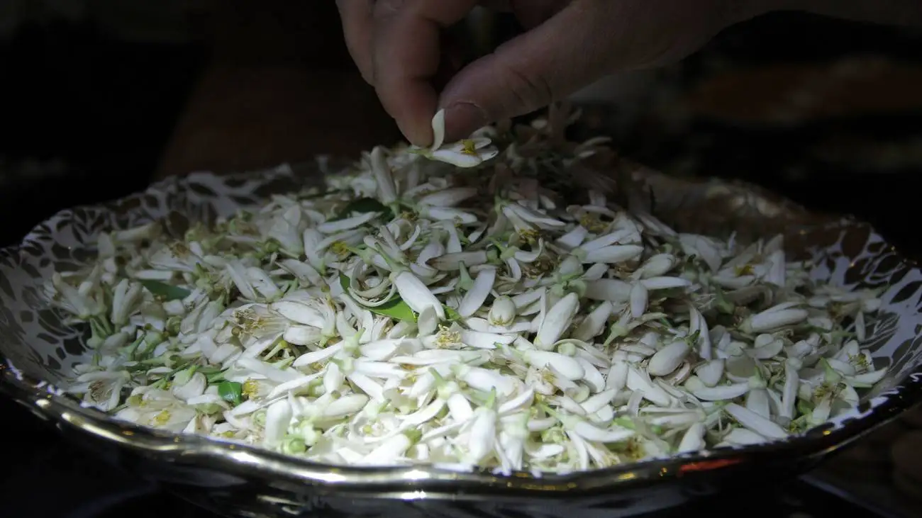 این شهر بوی نارنج می دهد