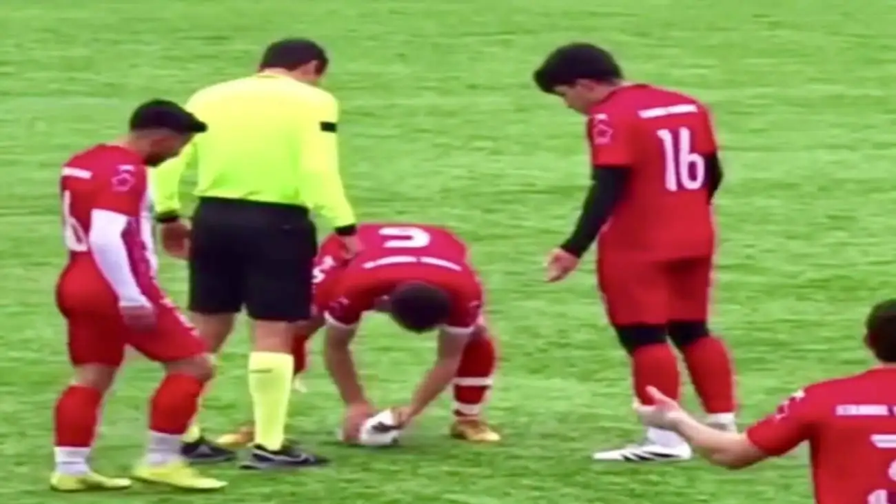 حرکت سریع و انسانی این فوتبالیست همه را تحت تاثیر قرار داد؛ ماساژ قلبی درست وسط بازی این پرنده را نجات داد