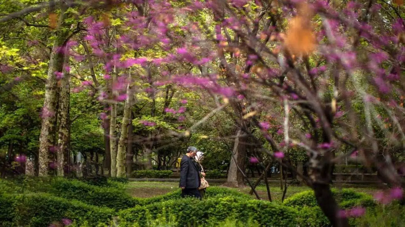 کاهش دما در سواحل خزر  -  شدت بارش  ها برای  3 استان