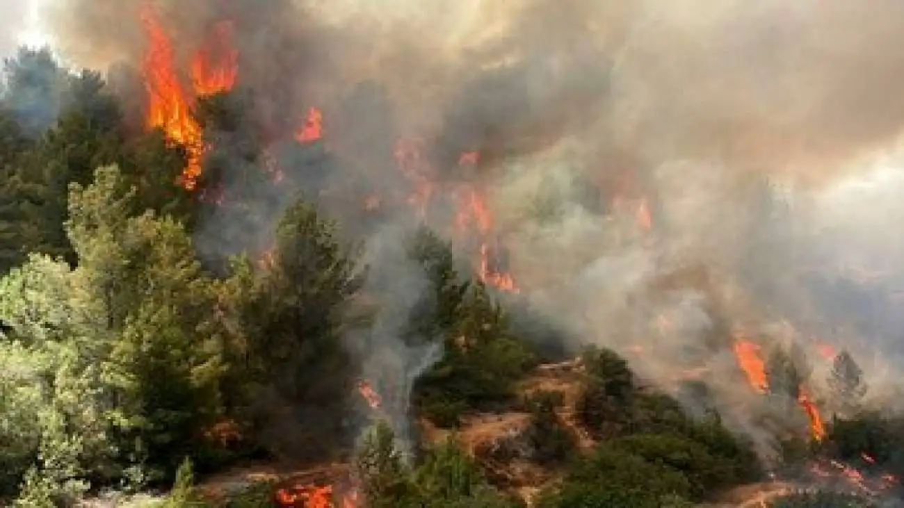 آتش سوزی گسترده در استان فارس -  جزئیات