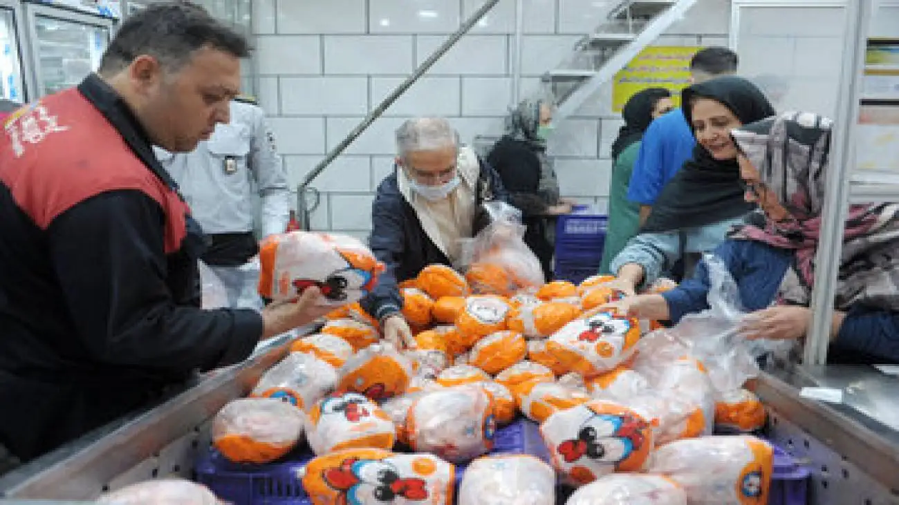 دلیل کاهش قیمت مرغ در بازار -  مرغ کیلویی چند به دست مصرف کننده می رسد؟