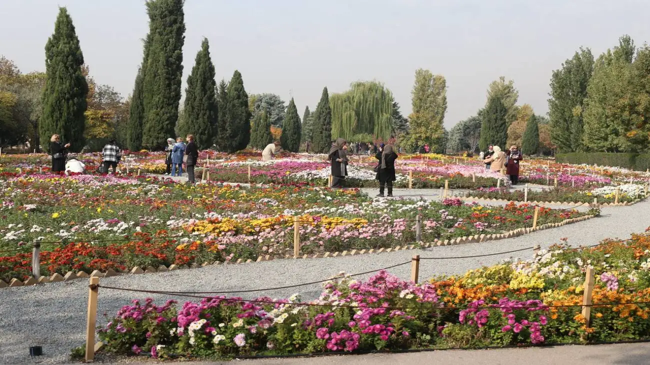 بارش رگبار پراکنده در این مناطق  -  دمای 50 درجه در 3 منطقه  -  کاهش دمای تهران از فردا