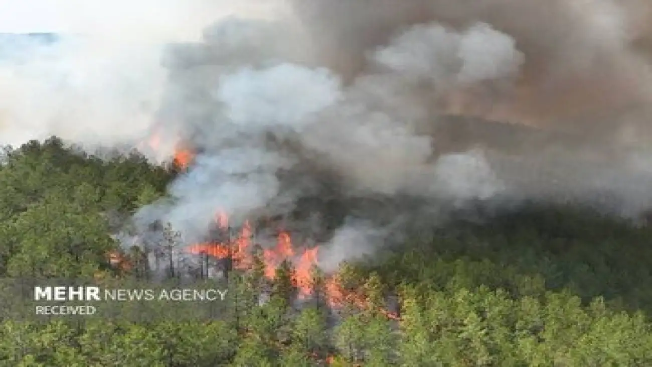 آتش سوزی گسترده در جنگل های شمال کشور -  اعزام سه هلیکوپتر اطفای آتش سوزی برای اولین بار