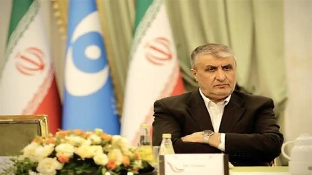 معاون بین الملل شرکت دولتی (روس اتم) با اسلامی دیدار کرد