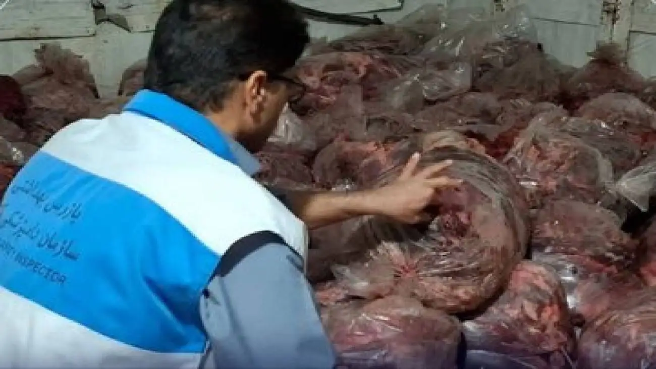 توقیف 1500 کیلوگرم گوشت مخلوط اسب و گاو در این شهر جنوبی