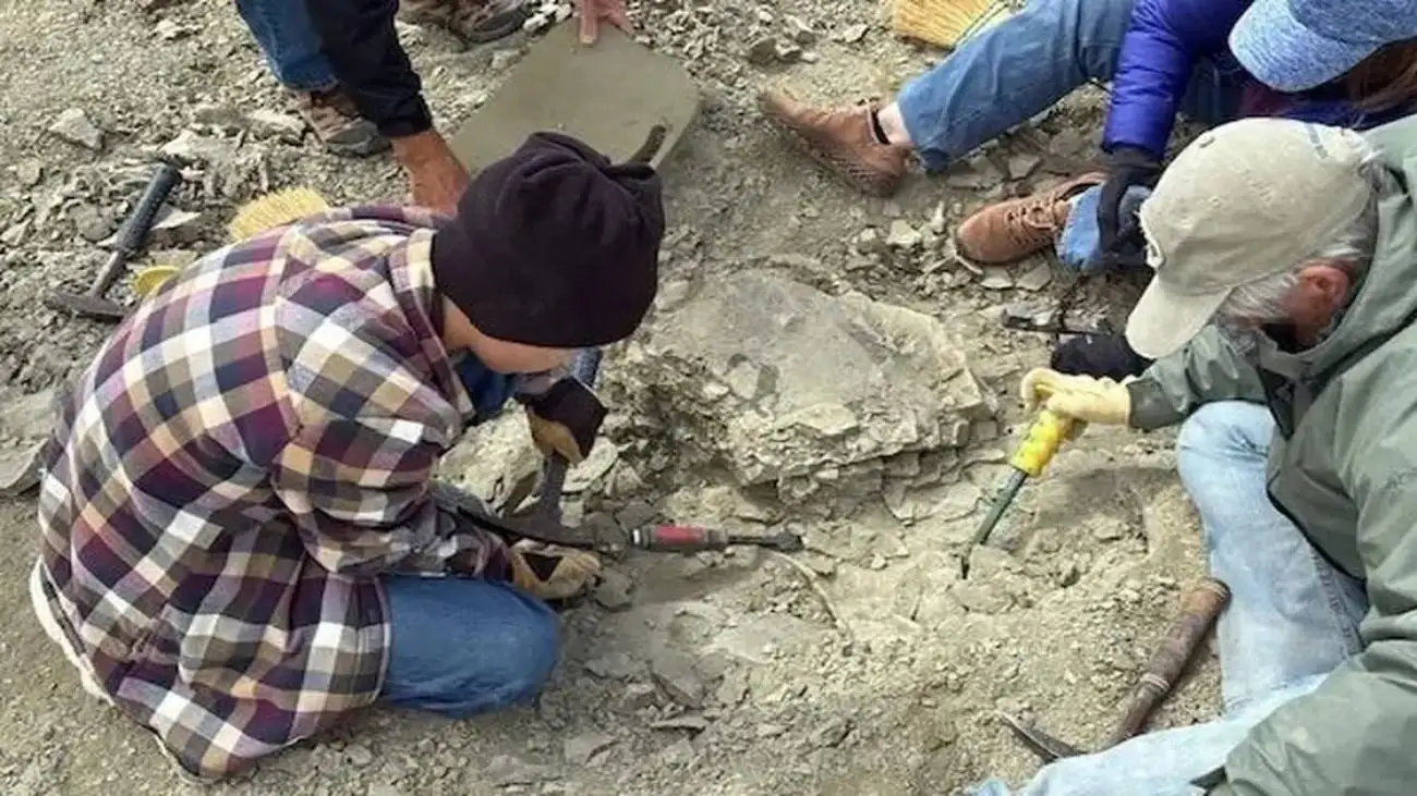 لاک پشت 48 میلیون  ساله ای که در گردش پیدا شد  -  عکس