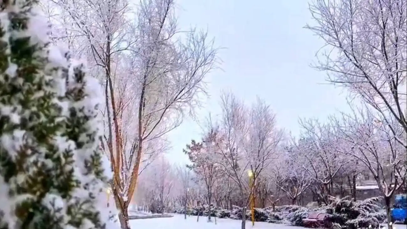 ویدیو  -  ذوق زدگی بانوی ابیانه ای از بارش برف در استان اصفهان