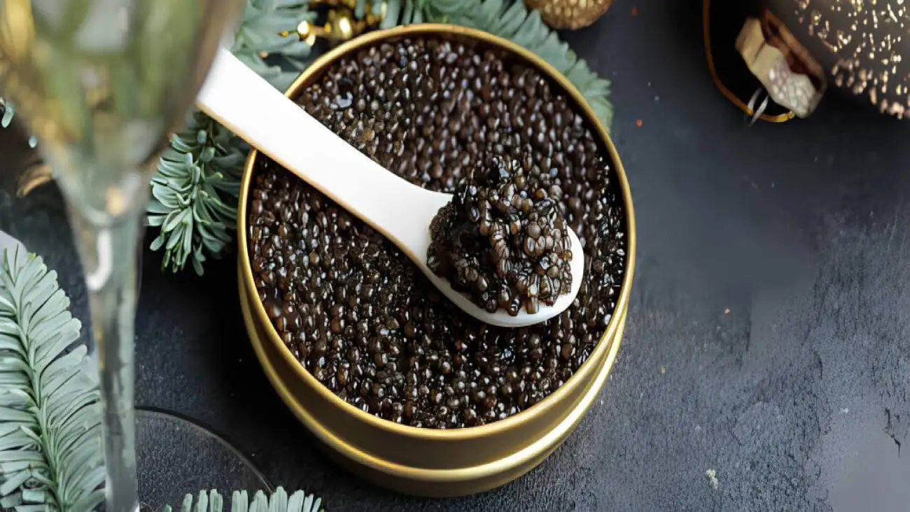 آماده سازی گران ترین غذای دنیا از دریای خزر  -  ببینید