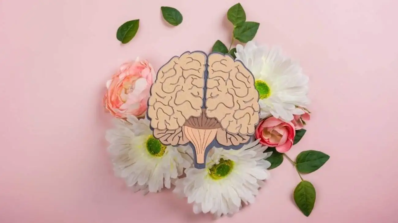 مصرف این مواد غذایی خوشمزه مغزتان را نابود می کند!