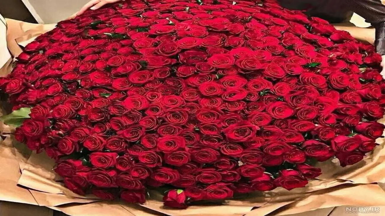 نمایش جدید تازه به دوران رسیده ها