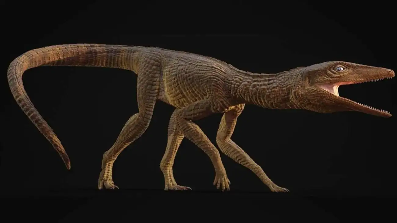 تمساح ماقبل تاریخی که شبیه سگ شکاری بوده است