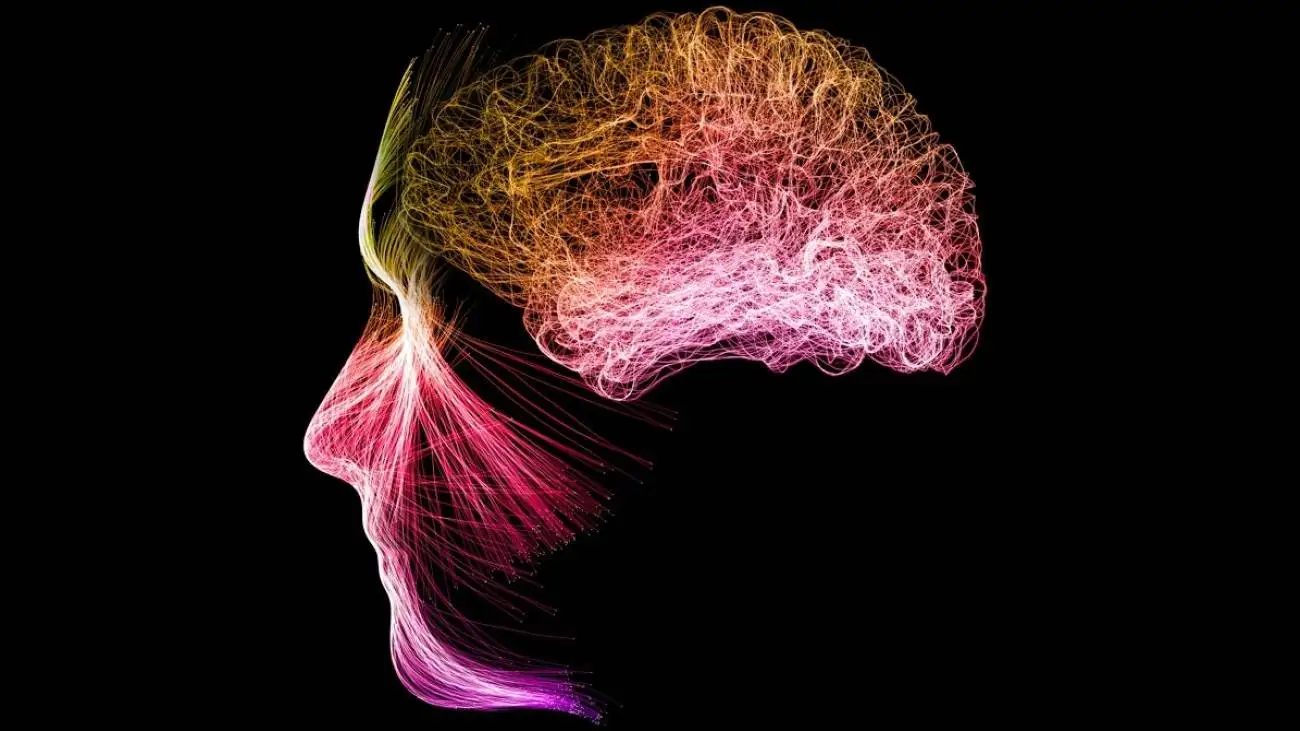 راز ذهن آرام  -  مدیتیشن با مغز ما چه می کند؟