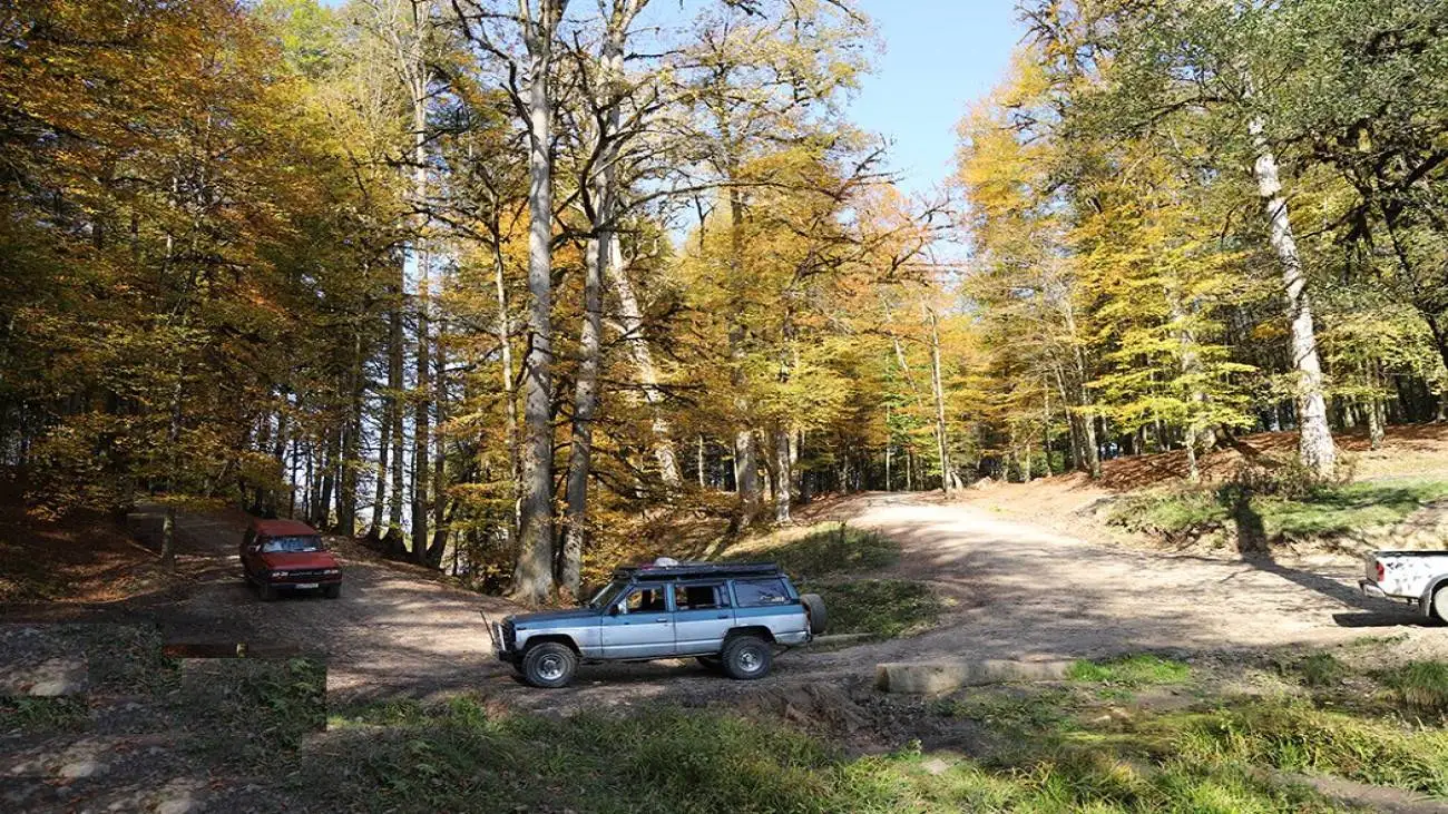 مرداب دِریوک در پاییز + تصویر  -  مرداب دِریوک کجاست ؟ ؛ مسیر دسترسی به مرداب دِریوک