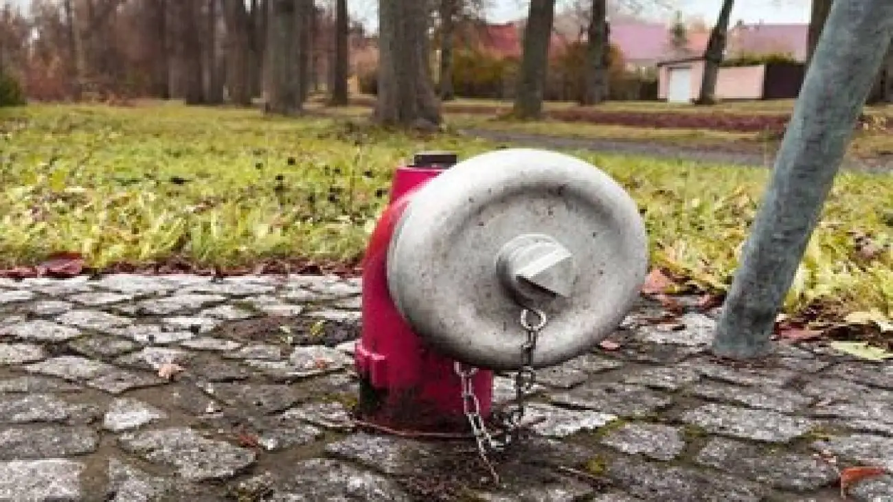 پایان تلخ یک بعدازظهر عاشقانه در آمریکا -  حادثه ای با احتمال یک در میلیون