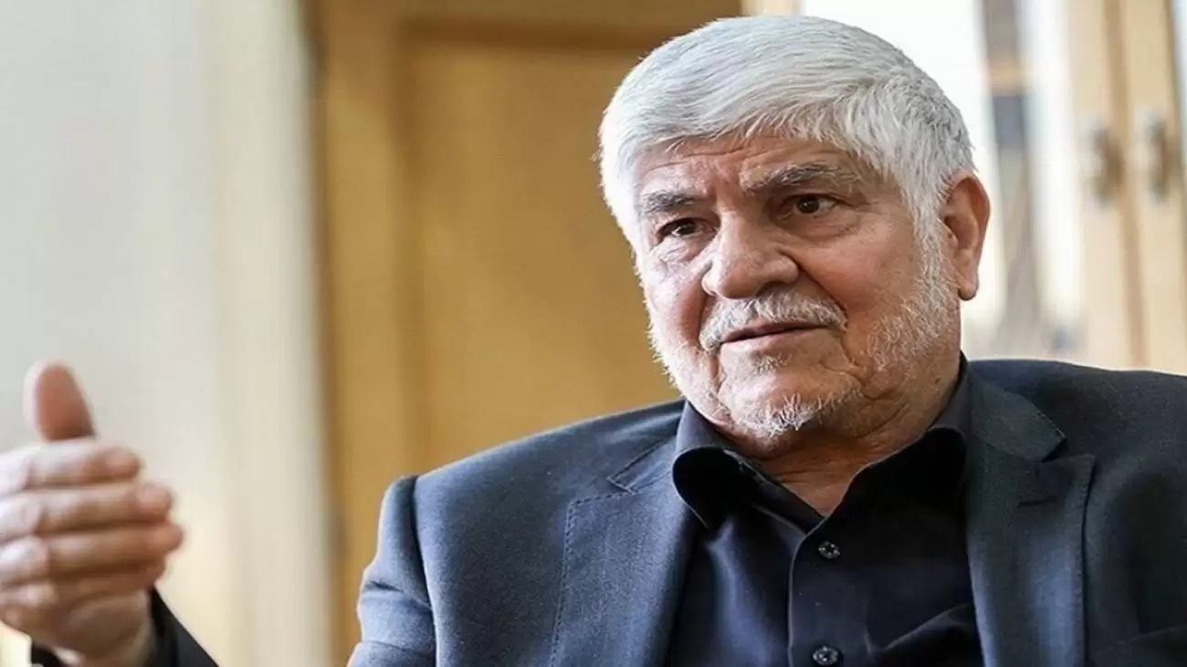 محمد هاشمی: سهم دولت از قدرت کم تر از یک سوم است