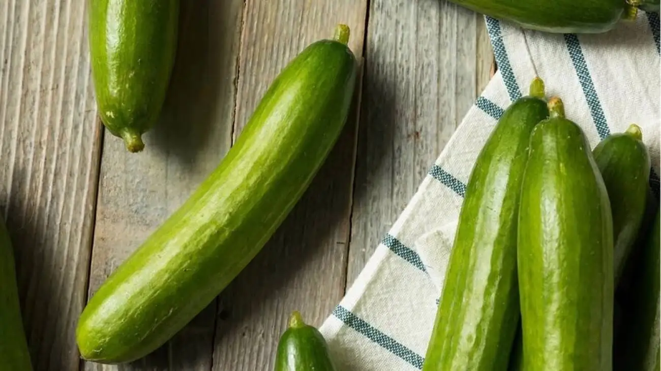 5 خوراکی که بهترین ترکیب را با خیار شکل می دهند