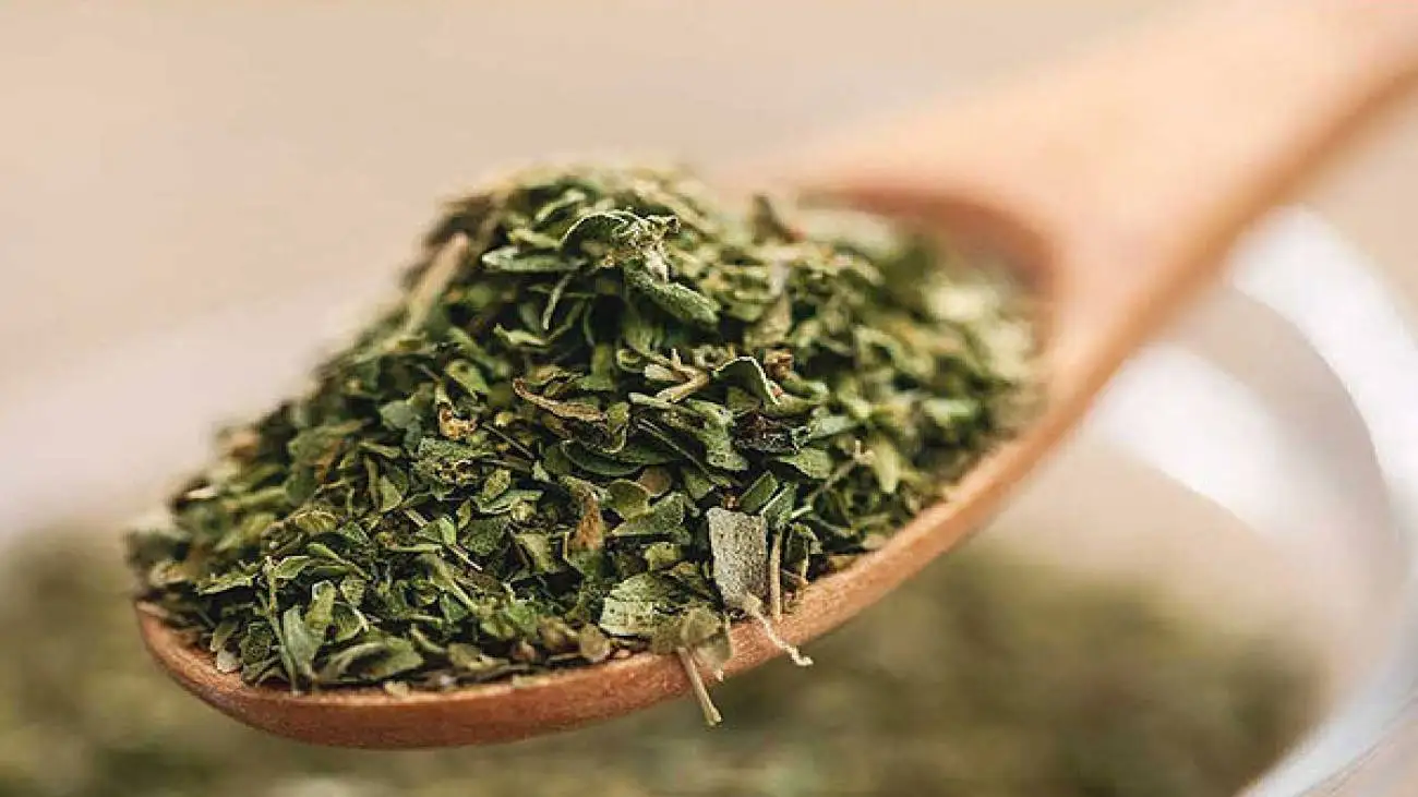 فواید و خطرات روغن پونه کوهی برای بدن