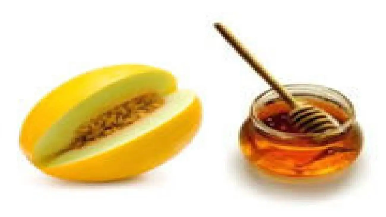 خوردن همزمانِ خربزه و عسل واقعا مضر است؟  -  مصرف ماست و ترشی بالاخره باعث لک و پیس می شود یا نه؟