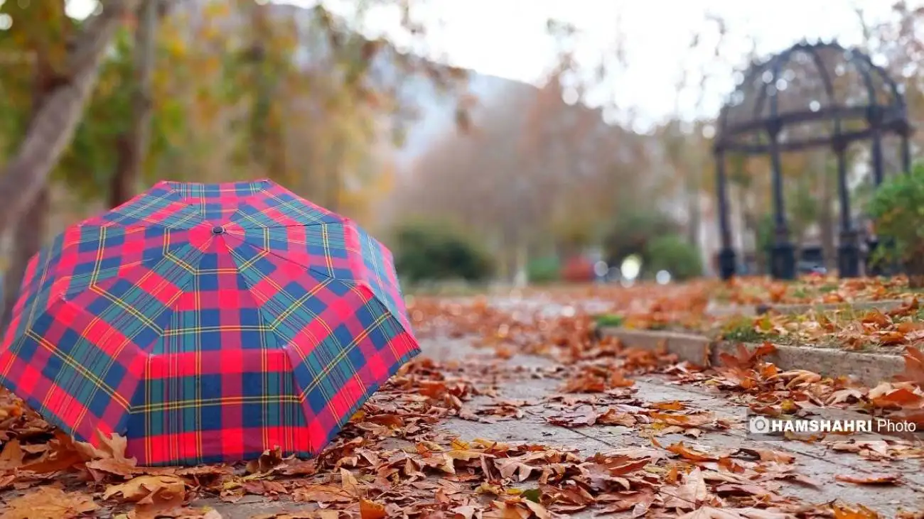 بارش ها تا هفته آتی ادامه دارد  -  هوا از دوشنبه سرد می شود