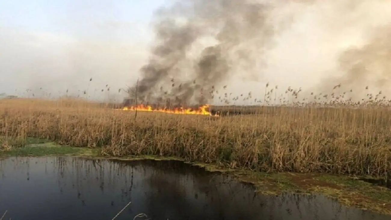 مخالفت شدید وزارت نیرو  برای رها سازی آب به سمت هورالعظیم  -  تالاب در آتش، مردم در دود