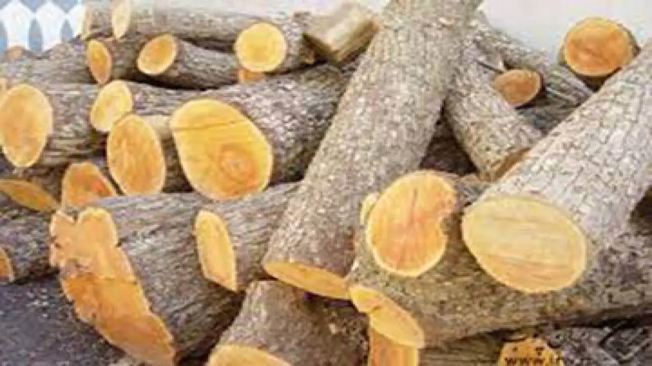 موبپیماع طبیعی و آبخیزداری استان تهران هشدار داد