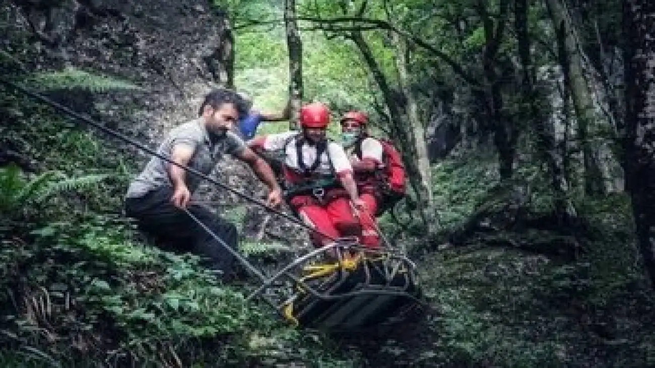مرگ مشکوک دختر جوان در جنگل؛ قبل از مرگ برای دو نفر پیام فرستاد