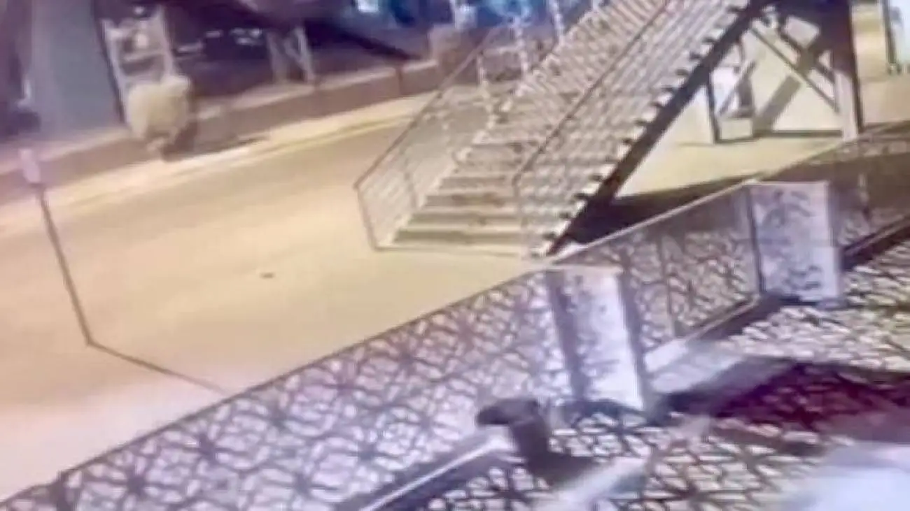 ناپدید شدن خودرو در لحظه تصادف شدید + ویدیو  -  از خودرو چیزی باقی نماند!