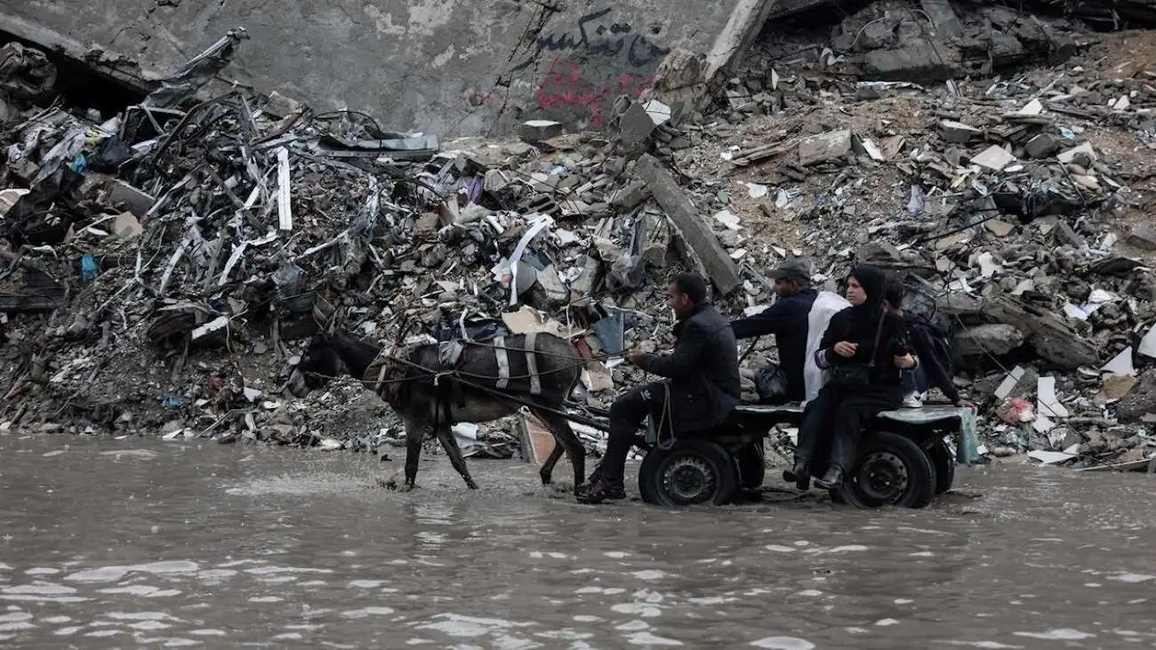 قاچاق الاغ های غزه به اسرائیل !