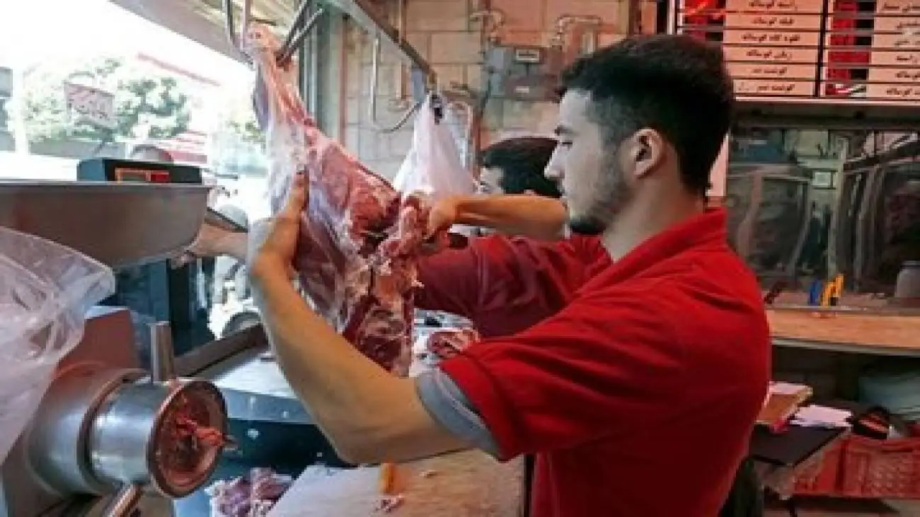 قیمت جدید گوشت گوسفند و گوساله در میادین میوه و تره بار