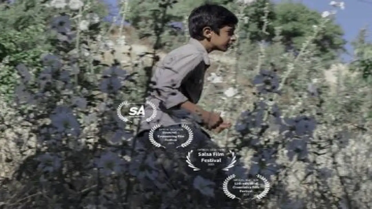 سیب قرمز ایرانی در لهستان، اسپانیا، آفریقای جنوبی و آلمان -  (سوور) در چهار جشنواره جهانی فیلم