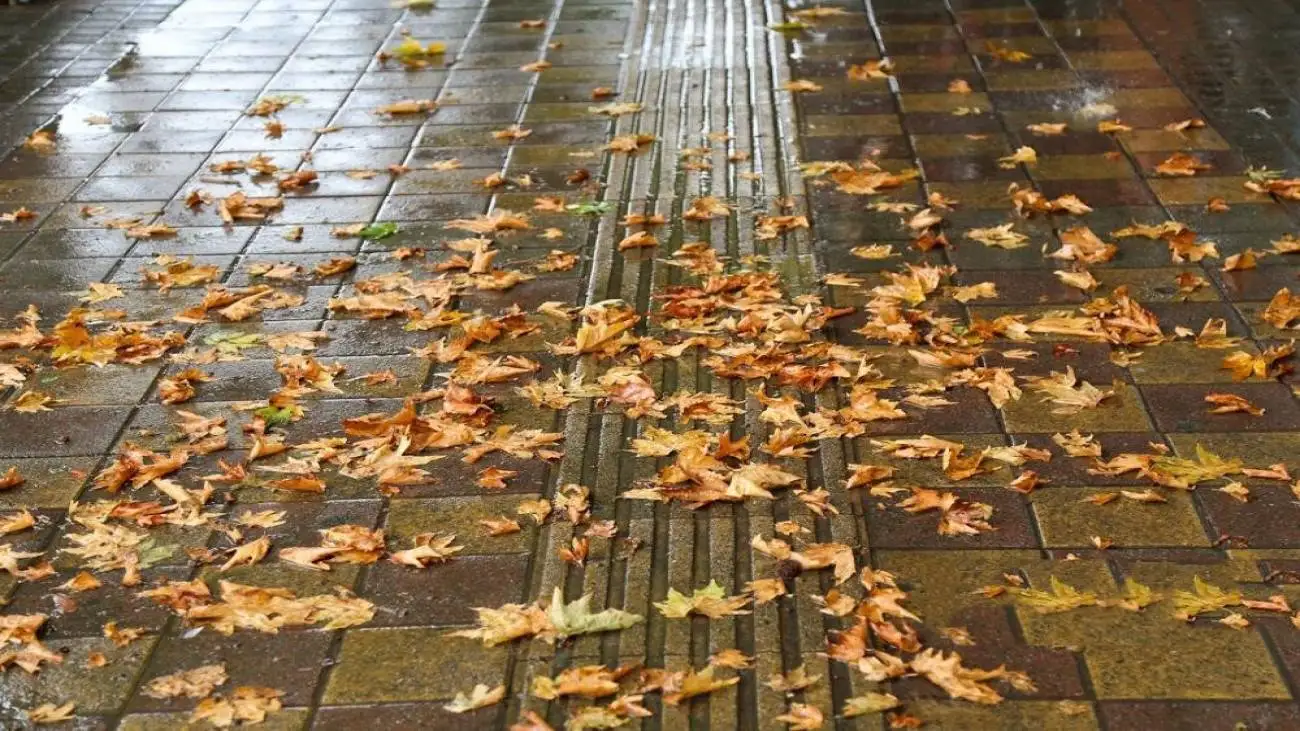 پاییز بدون باران و یک احتمال برای زمستان  -  در پاییز و زمستان امسال منتظر بارش باشیم؟  -  پیش بینی یک کارشناس برجسته هواشناسی درمورد فصل بارش ها