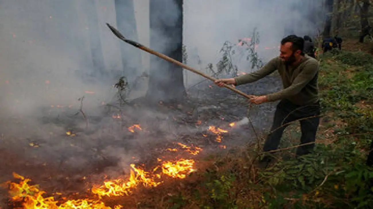 جزئیات جدید از آتش سوزی جنگل های الیت -  مساحت سوختگی چقدر بود؟