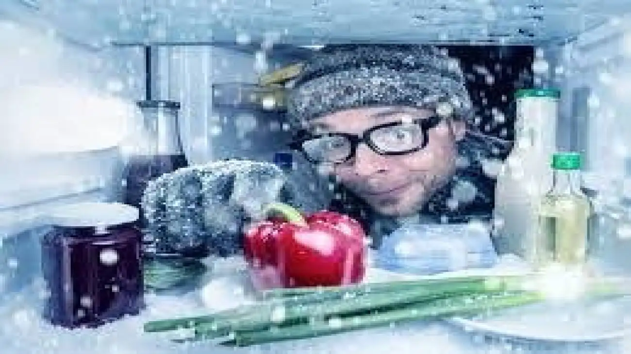 خوراکی هایی که بدن را در سرما گرم نگه می دارند