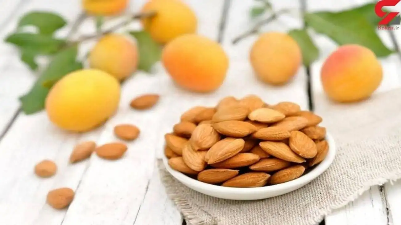 هسته زردآلو برای چی خوبه ؟ ؛ فواید و مضرات هسته زردآلو