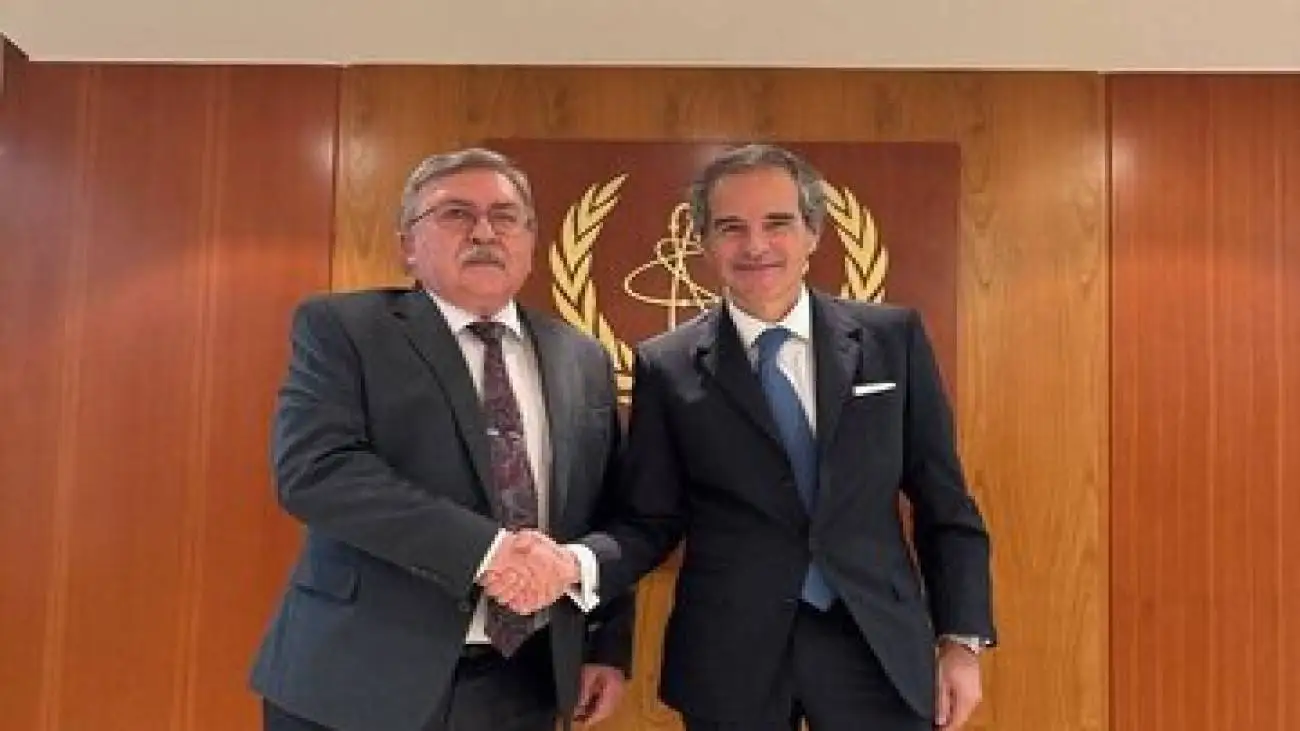 مذاکره اولیانوف با گروسی درمورد برنامه هسته ای ایران