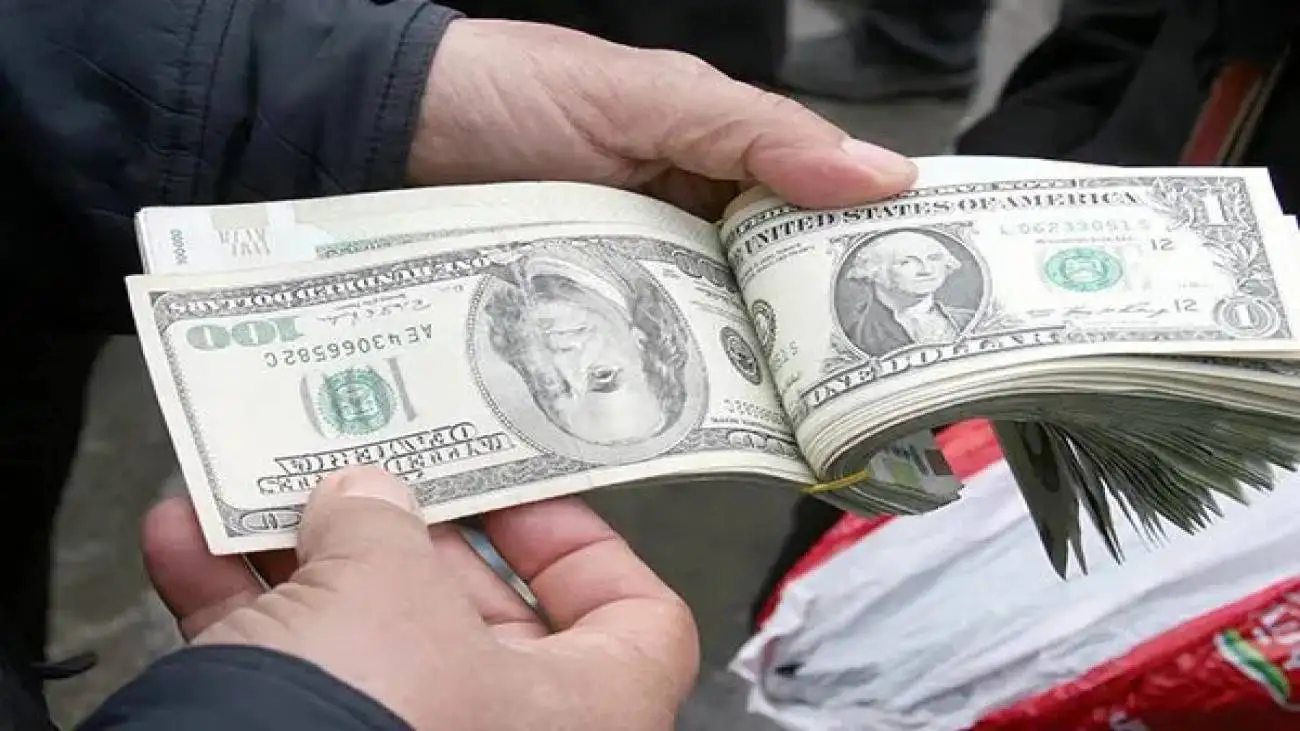 آخرین قیمت دلار، یورو و درهم در بازار ارز تجاری؛ دلار تجاری عقب نشست