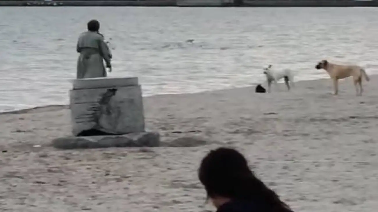 ویدیو  -  فرار سگ ولگرد پس از سرقت کیف زن