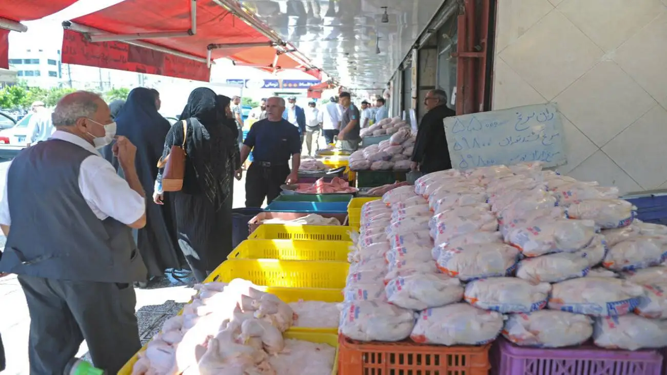 تازه ترین خبر درمورد قیمت مرغ  -  ویدئو