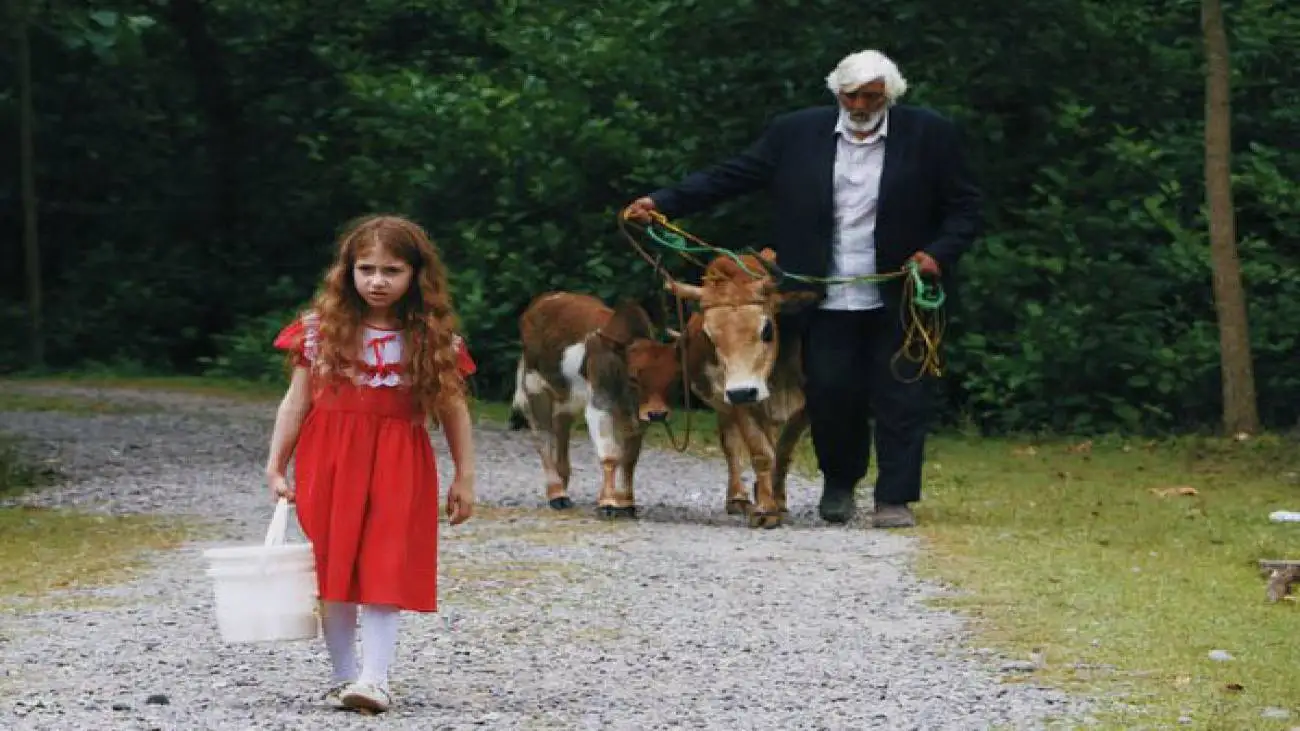 ماجرای دختر بچه ای که گاوهای مریض را نجات می داد
