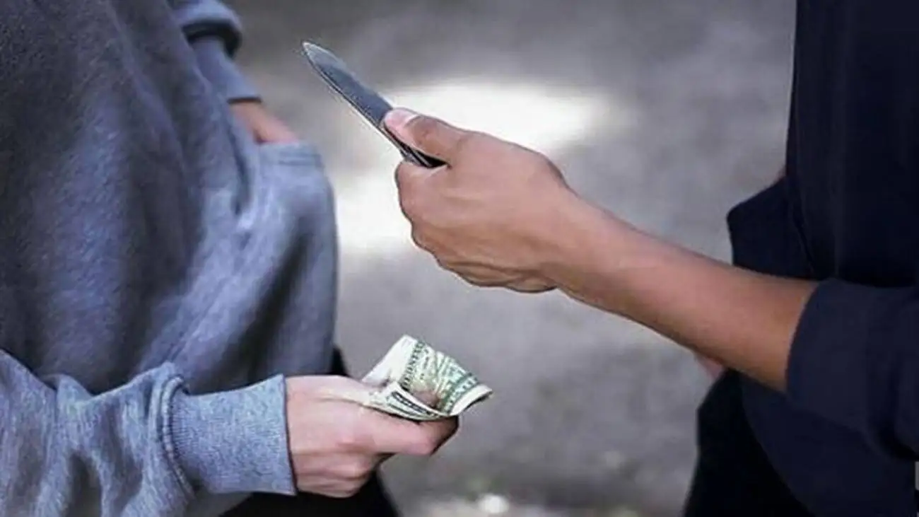 ویدیو  -  دزدی و خفتگیری در روز روشن از یک زن در مشهد!