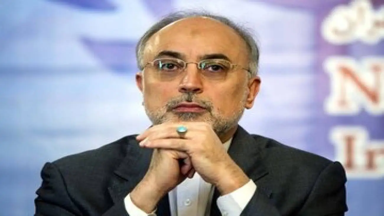سعدی نماینده خرد و سخن ایران است