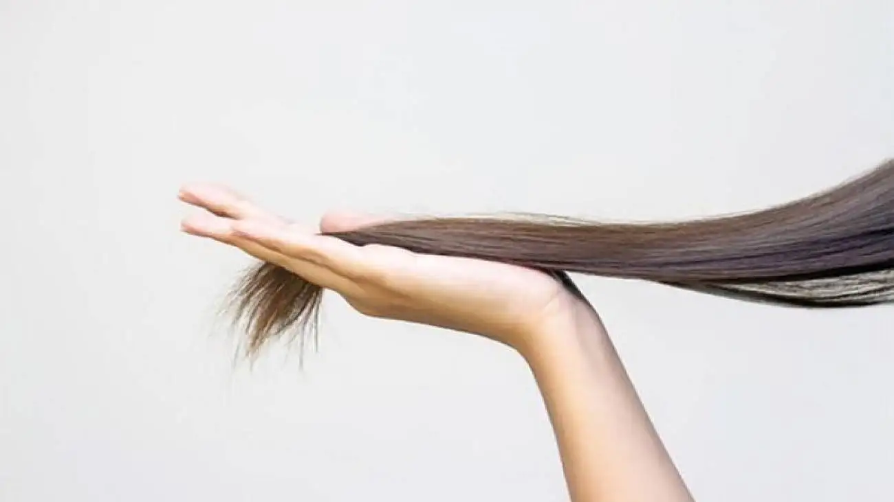 برای تقویت مو چیکار کنیم ؟ ؛ راه حل های کم هزینه طب سنتی برای تقویت مو
