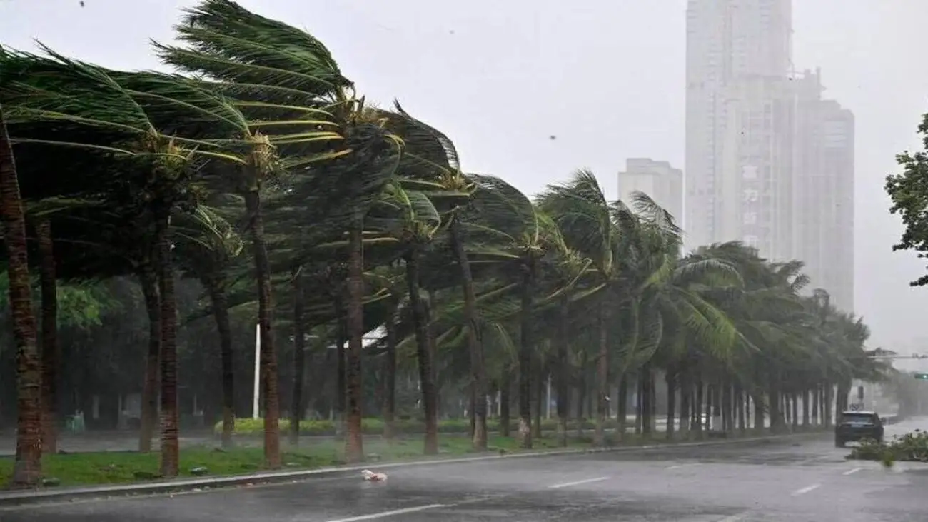 ویدیو  -  قدرت طوفان 148 کیلومتر در ساعتی در ویتنام!