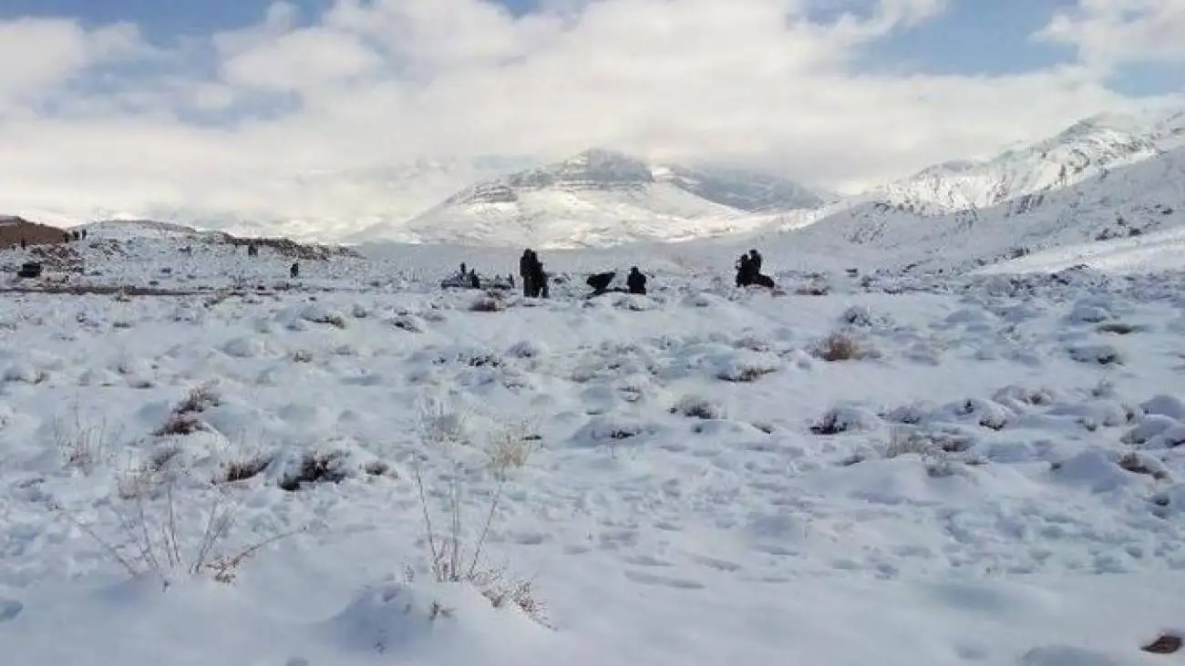 ویدیو  -  بارش باورنکردنی برف در کویر مصر