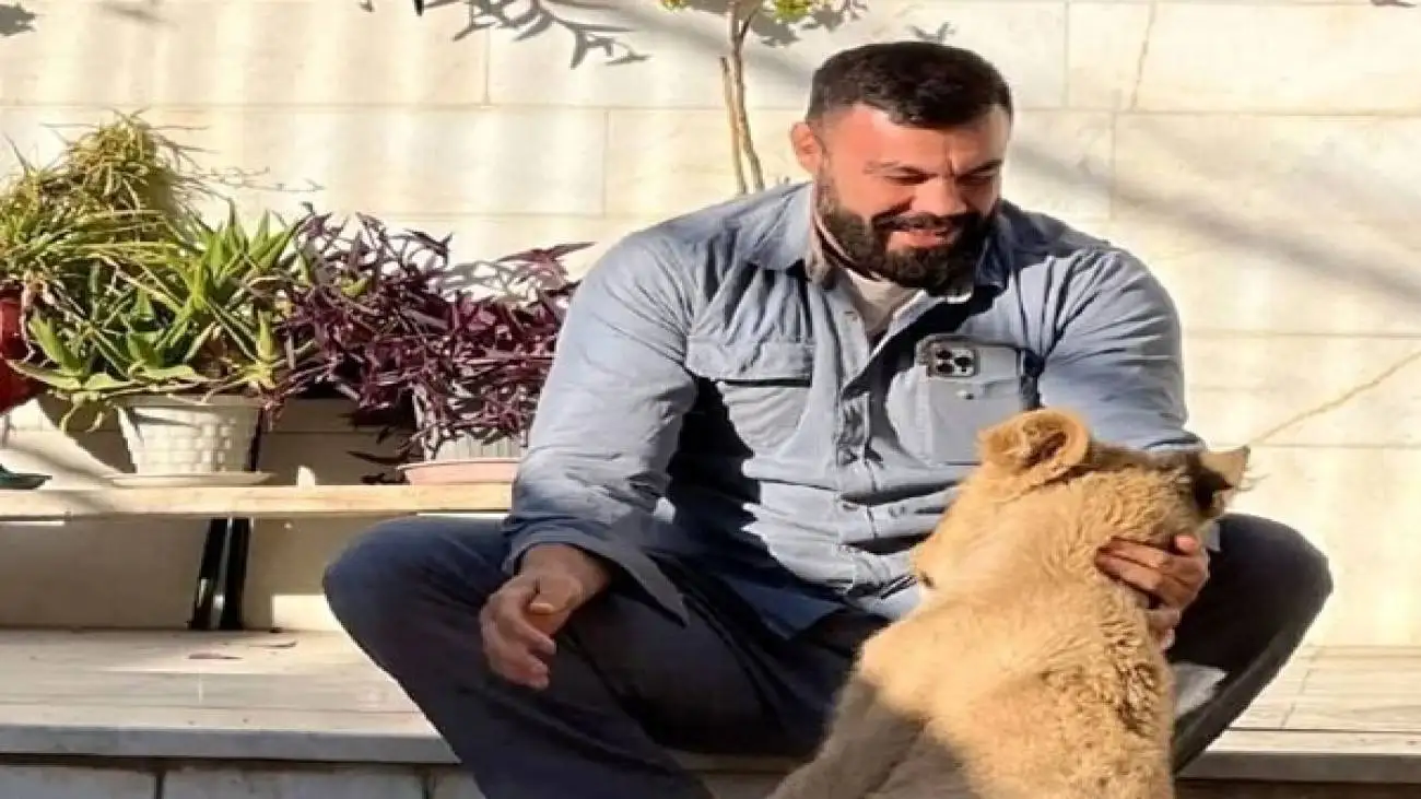 شیری که در خانه در کنار صاحبش راز بقا می دید!  -  ببینید