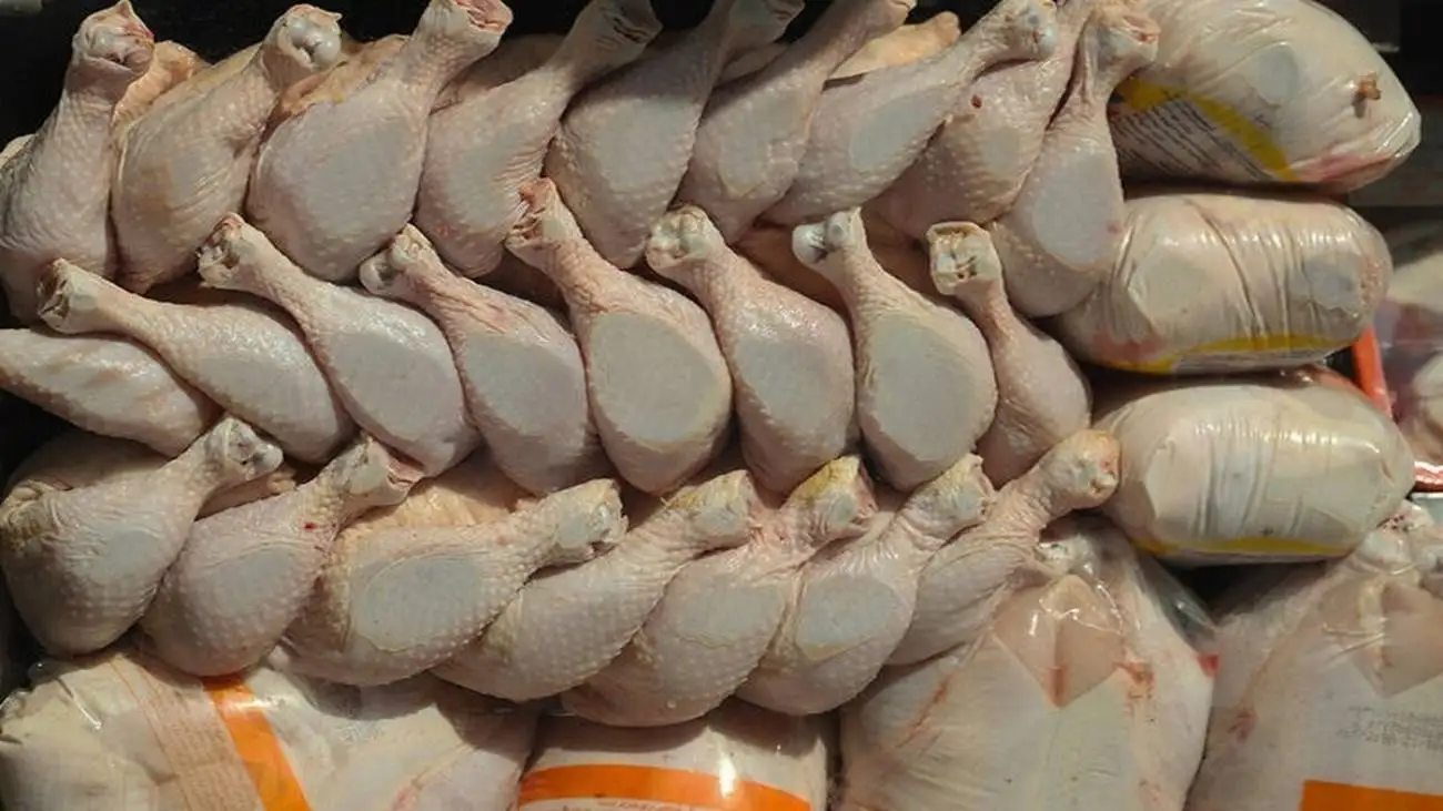 مرغ تا آخر سال دیگر گران نمی شود