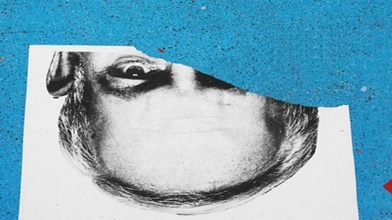 زن، زندگی آزادی نتانیاهو به روایت زنان