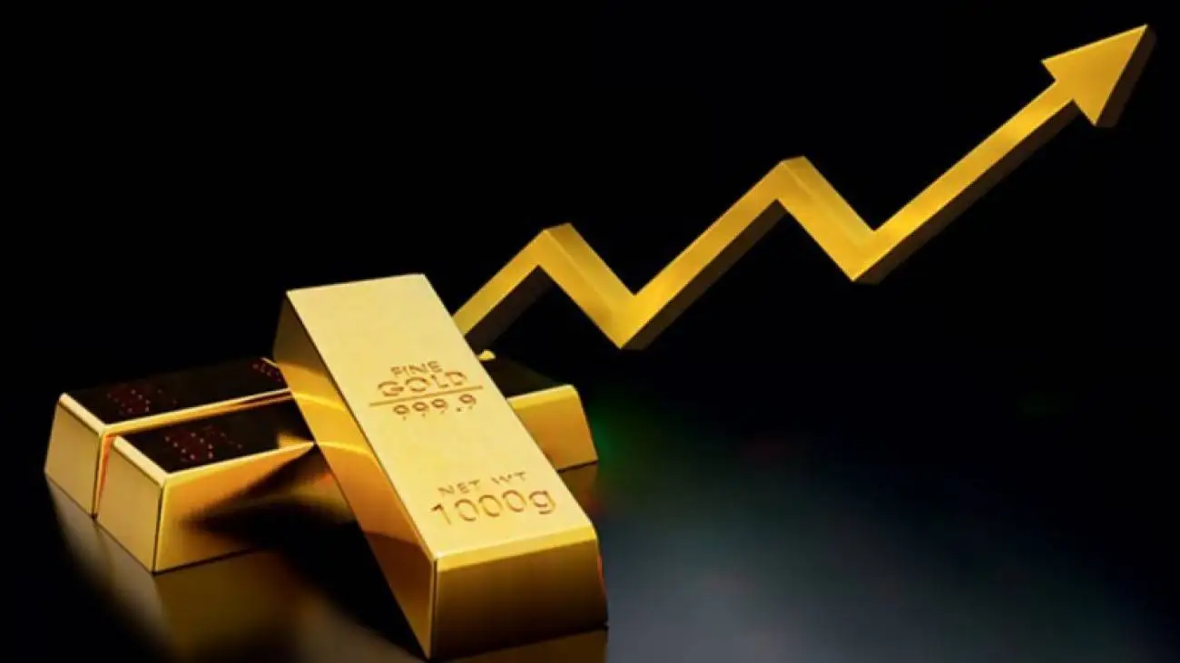 قیمت طلا طی 50 سال 300 هزار برابر افزایش پیدا کرده است! + ویدئو  -  استعفا بدهید